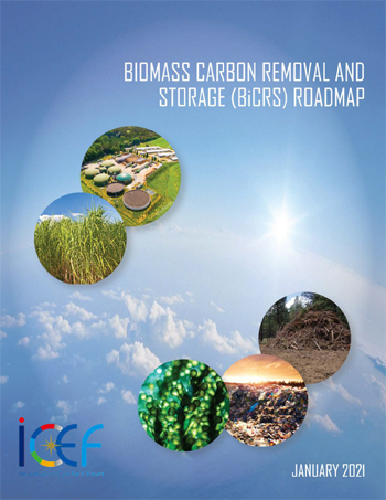 ICEF2020「バイオマス炭素除去・貯蔵（BiCRS）」